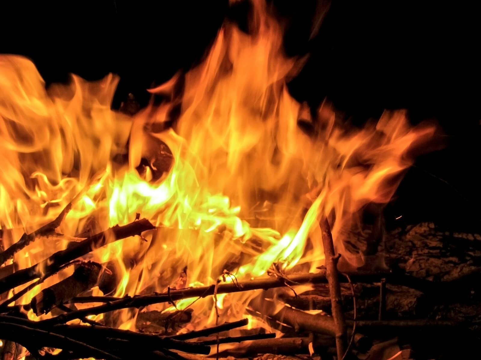 Is Bonfire Night ruining the environment? – The Forge Skip Hire Leeds Blog