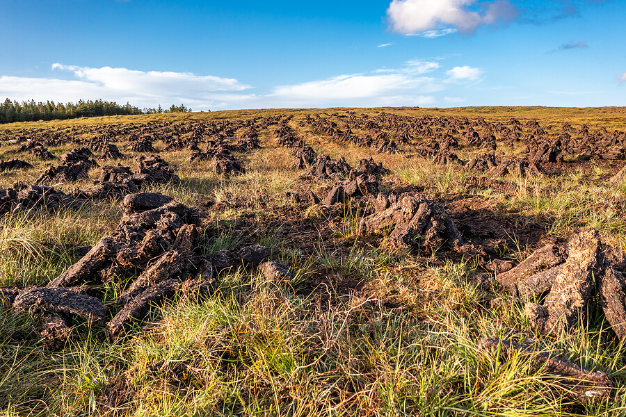 What is peat and what is its importance in gardening?