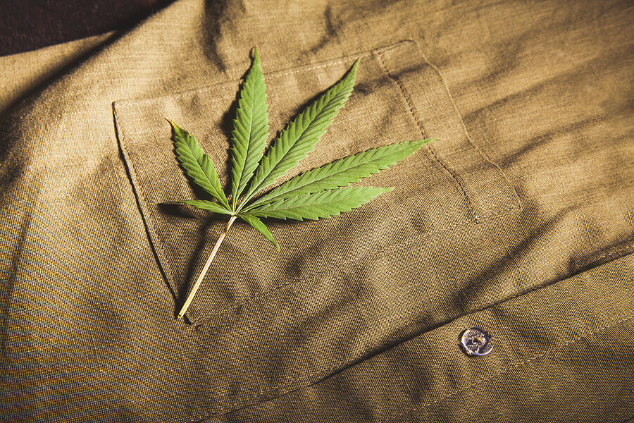 Everything you need to know about hemp clothing – The Forge Skip