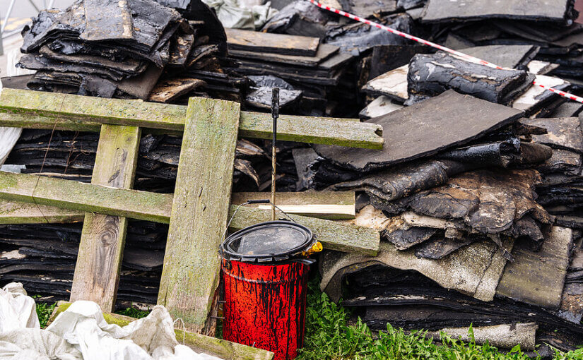 Garden Waste Skip Hire Guide – What Can You Put In? HIPPO